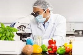 HACCP-Avançado