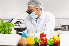 HACCP-Avançado