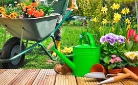 Jardinagem